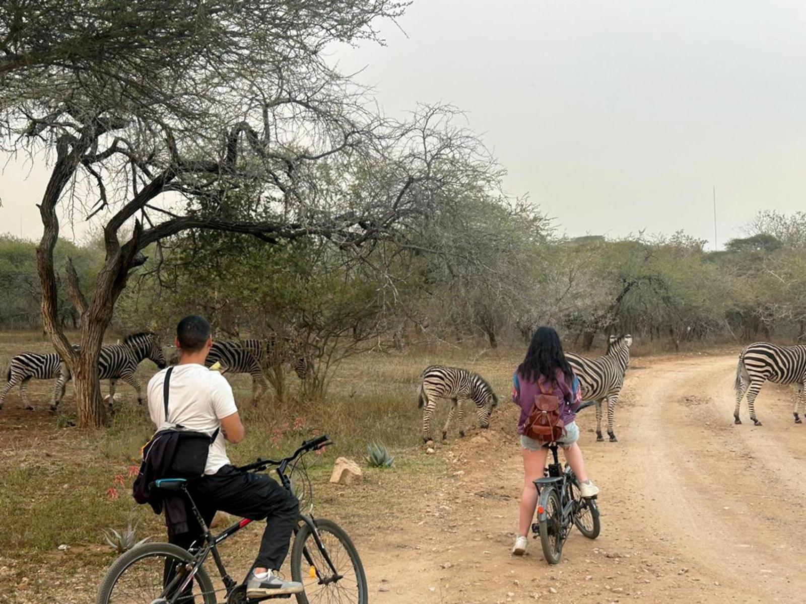 Kruger Park Hostel Marloth Park Exterior foto
